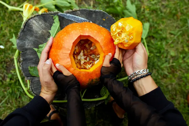 A mother and daughter smiling as they cut open a pumpkin on their porch, preparing to carve it for Halloween.