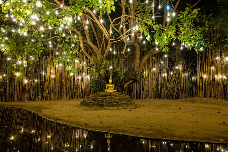 A serene bamboo forest illuminated by hanging lights, with a Buddha statue at the center, celebrating Loy Krathong.